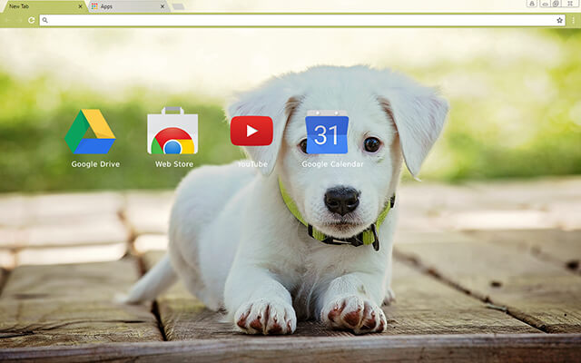 Baby Puppy Google Theme - Theme For Chrome