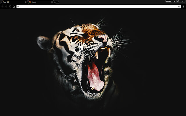 Black Tiger Google Chrome Theme