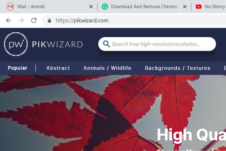 this is a screenshot of pikwizard.com