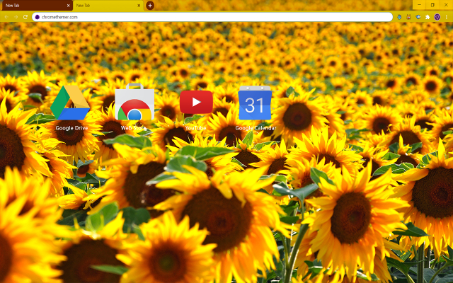Solarized Sunflowers Google Theme - Theme For Chrome